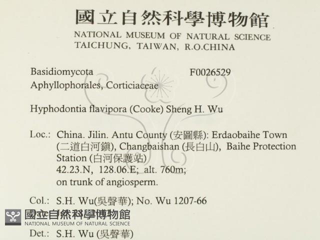 登錄號:F0026529藏品圖，第2張