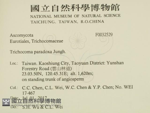 登錄號:F0032529藏品圖，第1張