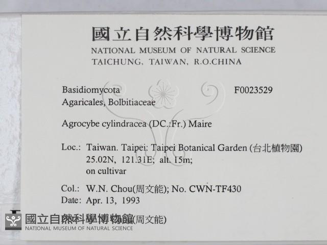 登錄號:F0023529藏品圖，第2張