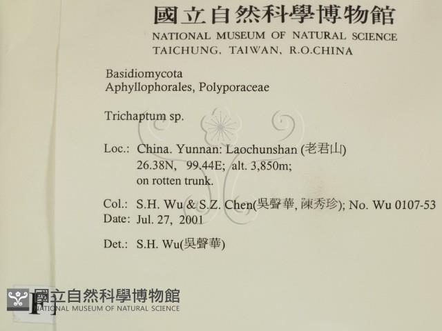 附毛菌屬藏品圖，第2張