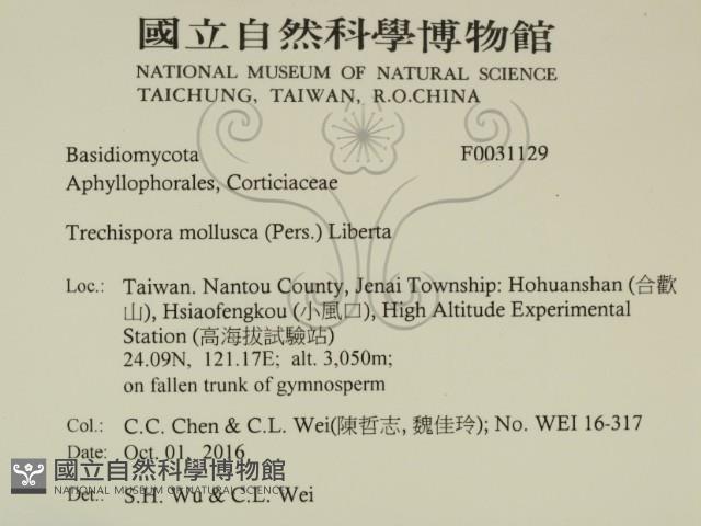 登錄號:F0031129藏品圖，第2張