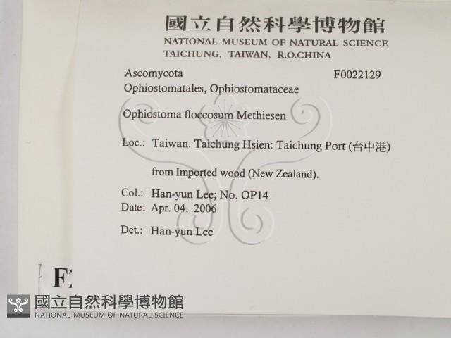 登錄號:F0022129藏品圖，第2張