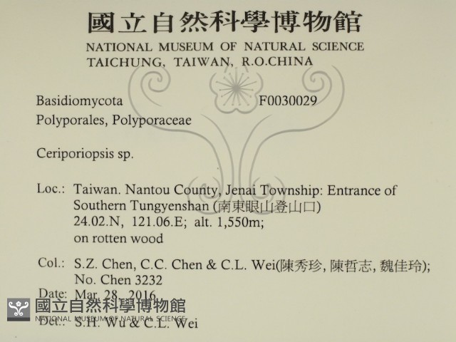 登錄號:F0030029藏品圖，第2張