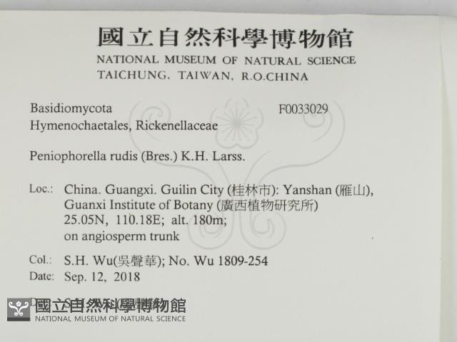 登錄號:F0033029藏品圖，第2張