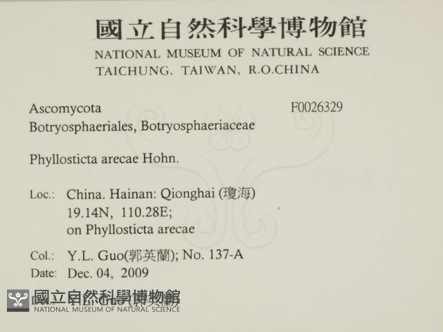 登錄號:F0026329藏品圖，第2張