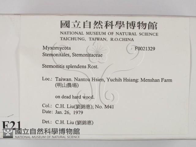 登錄號:F0021329藏品圖，第2張