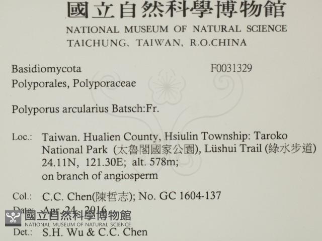 登錄號:F0031329藏品圖，第2張