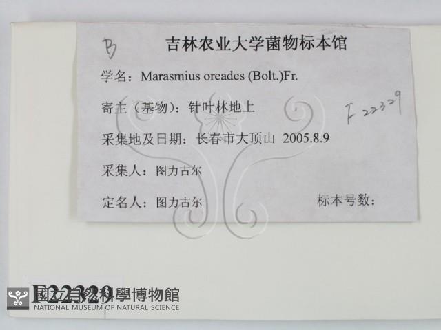 登錄號:F0022329藏品圖，第2張