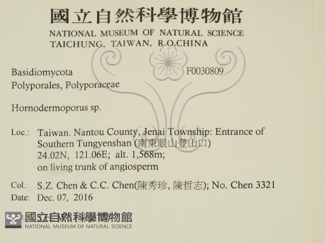 登錄號:F0030809藏品圖，第2張