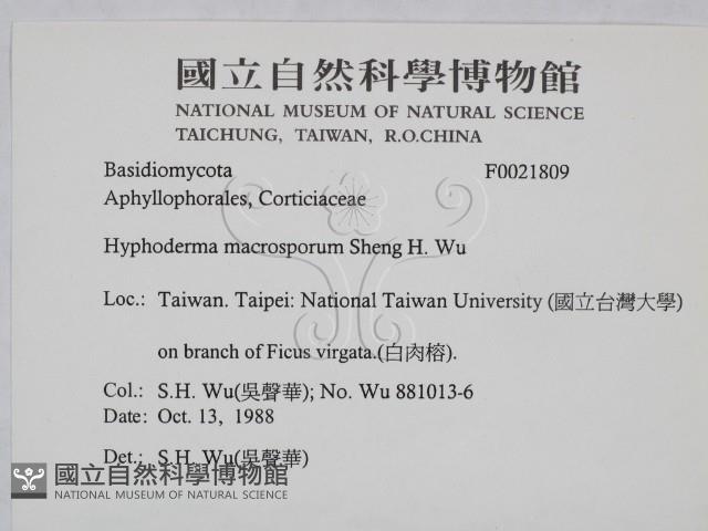 登錄號:F0021809藏品圖，第2張