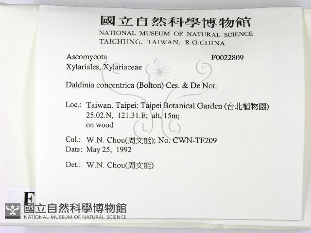 登錄號:F0022809藏品圖，第2張