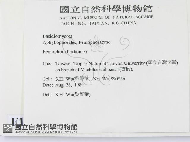 登錄號:F0012809藏品圖，第2張