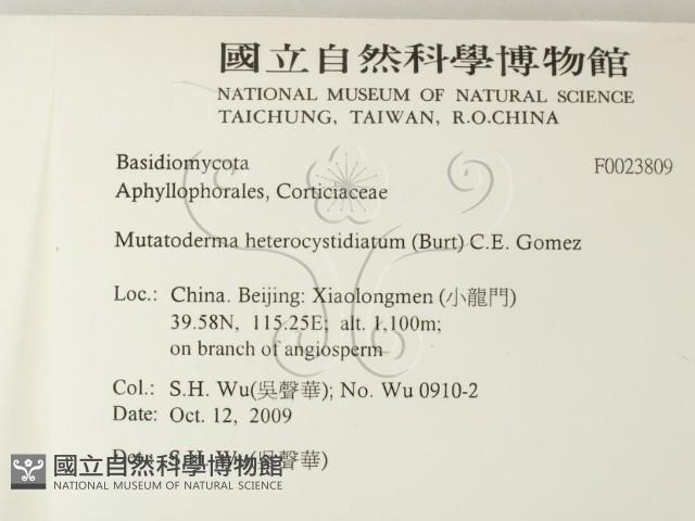 登錄號:F0023809藏品圖，第2張