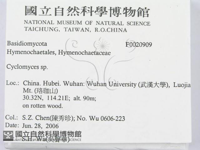 登錄號:F0020909藏品圖，第2張