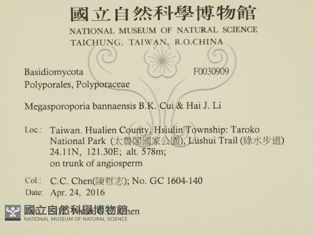登錄號:F0030909藏品圖，第2張