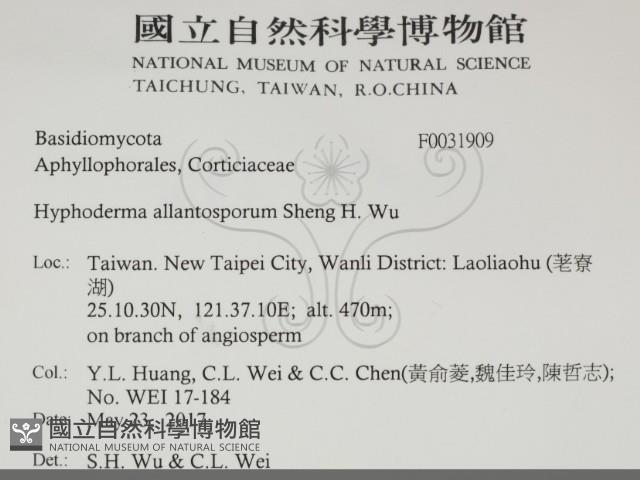 登錄號:F0031909藏品圖，第2張