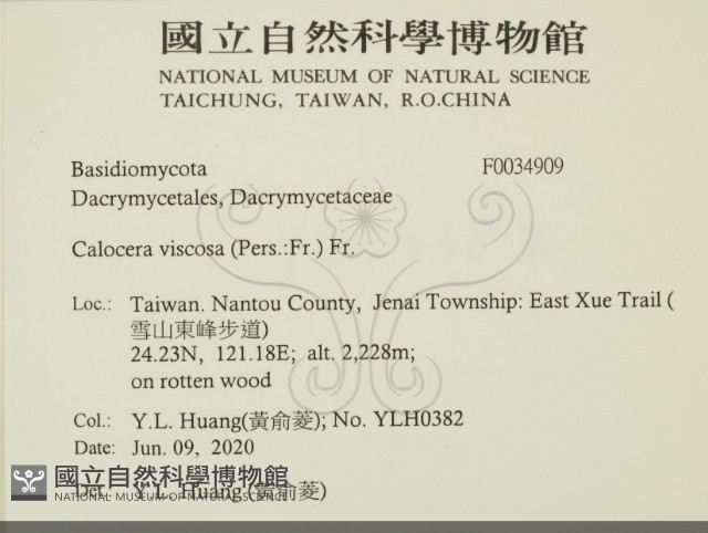 登錄號:F0034909藏品圖，第2張