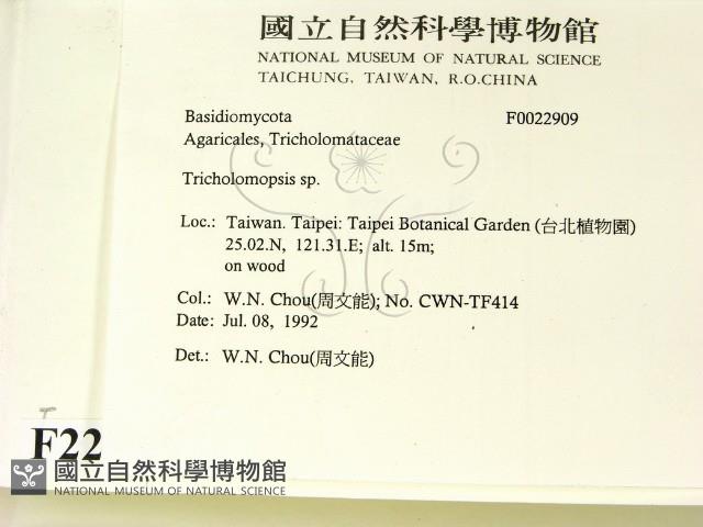 登錄號:F0022909藏品圖，第2張