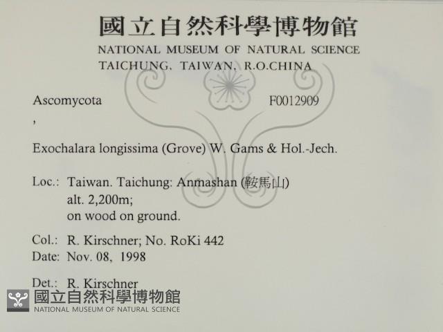 登錄號:F0012909藏品圖，第2張