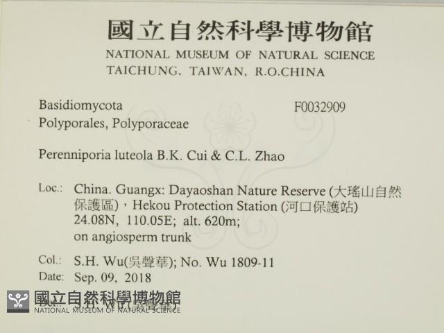 登錄號:F0032909藏品圖，第2張