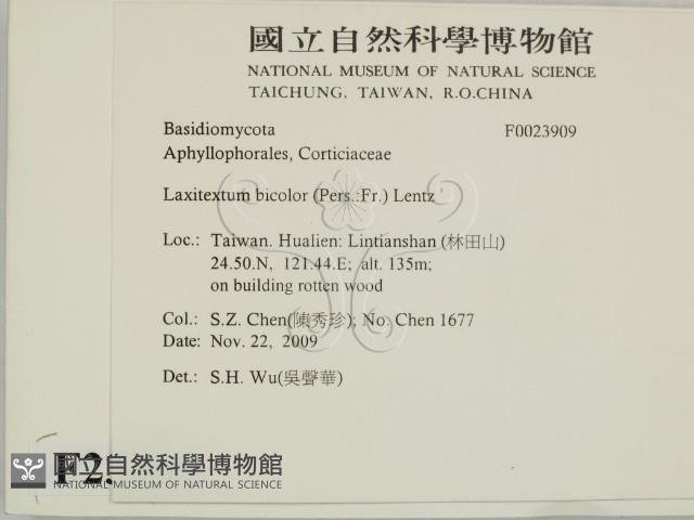 登錄號:F0023909藏品圖，第2張