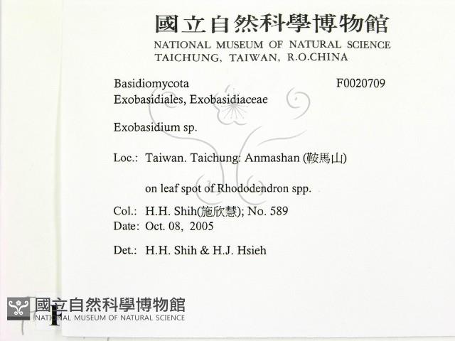 登錄號:F0020709藏品圖，第2張