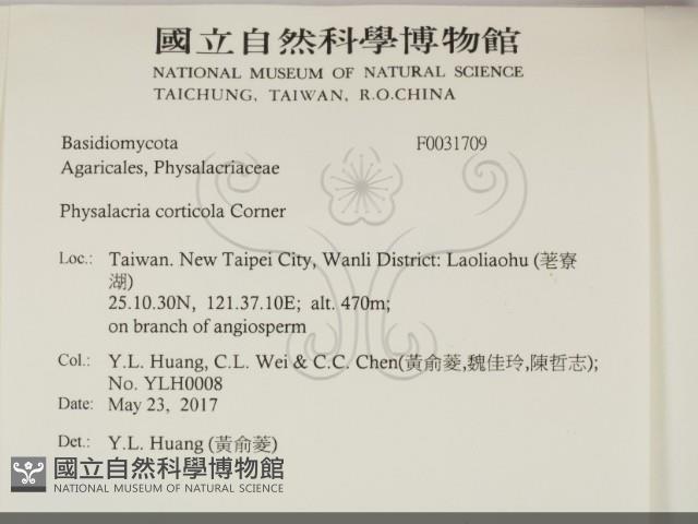 登錄號:F0031709藏品圖，第2張