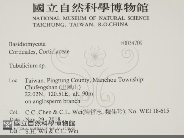 登錄號:F0034709藏品圖，第2張