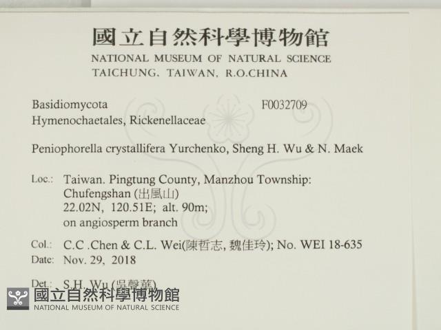 登錄號:F0032709藏品圖，第2張