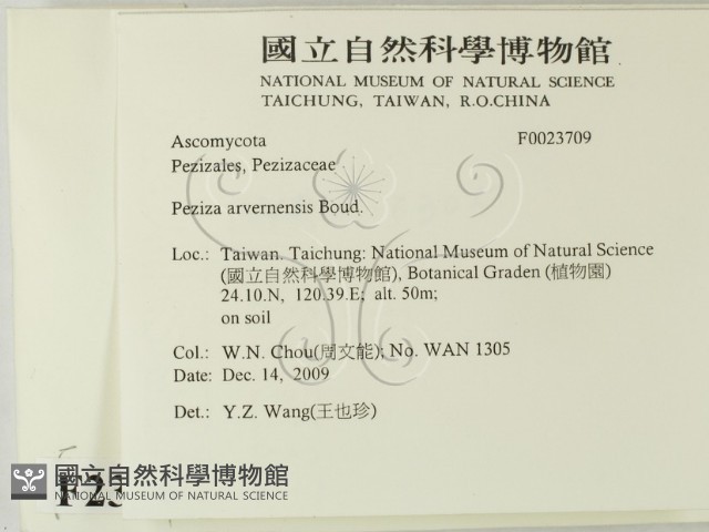 登錄號:F0023709藏品圖，第2張