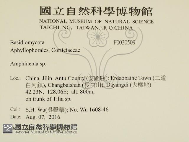 登錄號:F0030509藏品圖，第2張