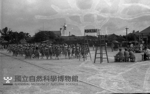 1950至2006年臺灣常民生活藏品圖，第1張