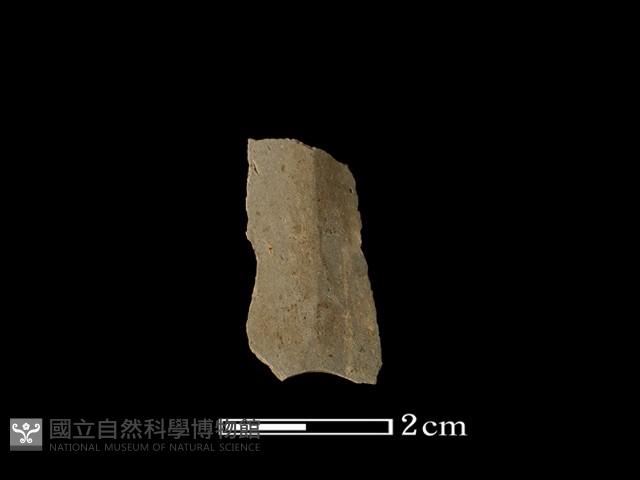 矛鏃形器藏品圖，第1張