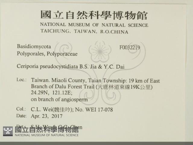 登錄號:F0032219藏品圖，第2張