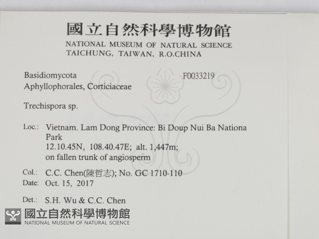 粗糙孢菌屬藏品圖，第2張