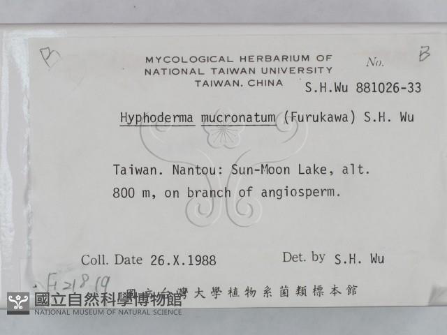 登錄號:F0021819藏品圖，第2張
