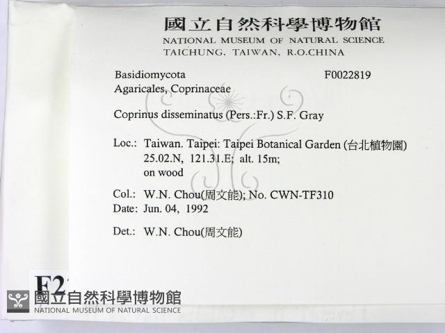 登錄號:F0022819藏品圖，第2張
