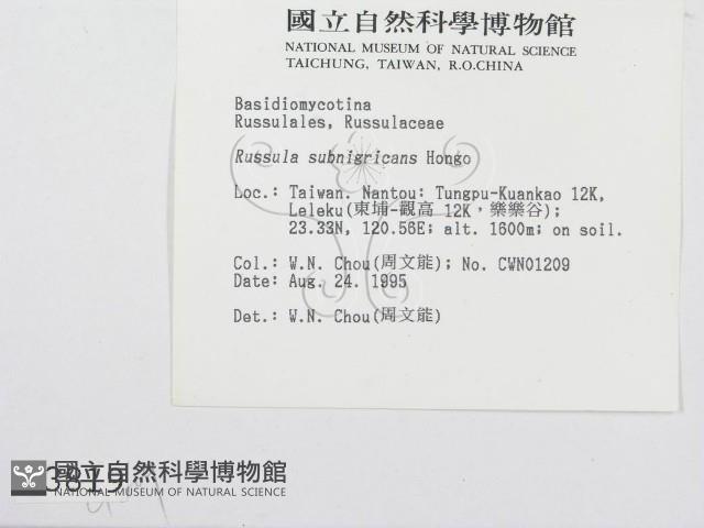 登錄號:F0003819藏品圖，第2張