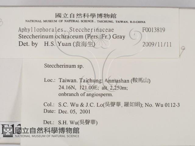 登錄號:F0013819藏品圖，第2張