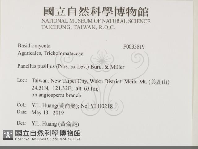 登錄號:F0033819藏品圖，第2張