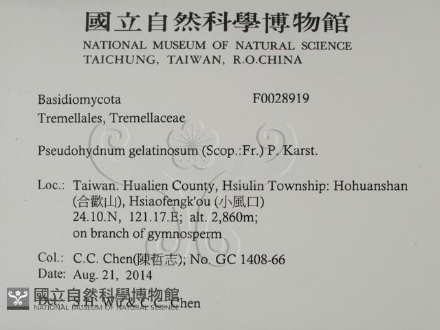 登錄號:F0028919藏品圖，第2張