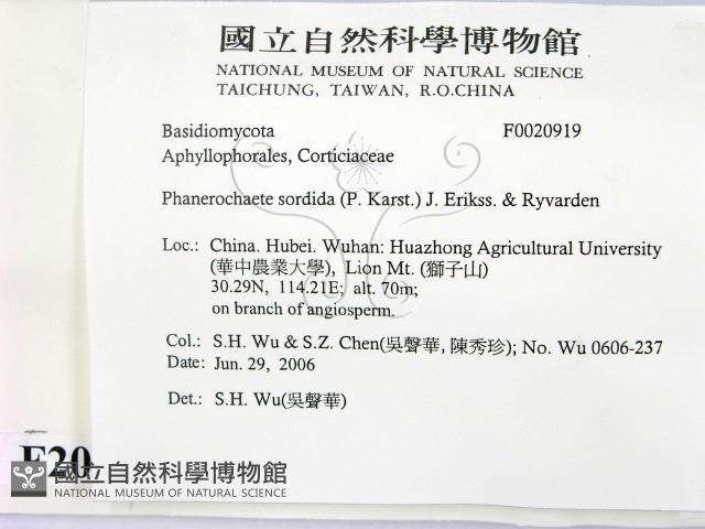 登錄號:F0020919藏品圖，第2張