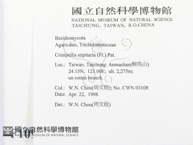 登錄號:F0010919藏品圖，第2張
