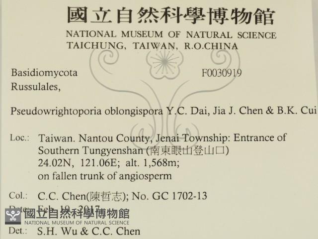 登錄號:F0030919藏品圖，第2張