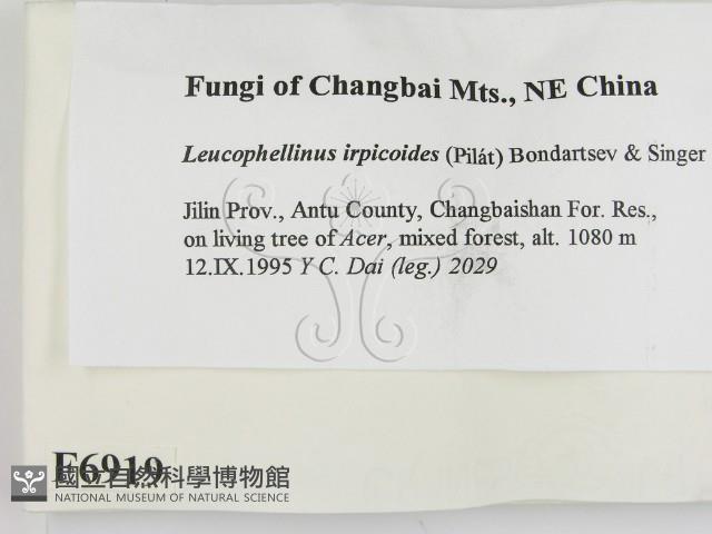 登錄號:F0006919藏品圖，第2張