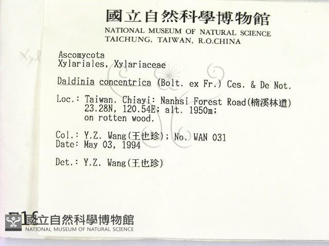 登錄號:F0001919藏品圖，第2張