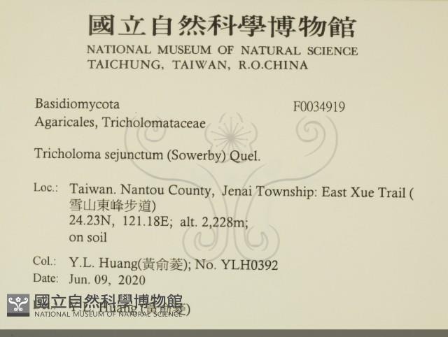 Accession Number:F0034919 Collection Image, Figure 2, Total 3 Figures