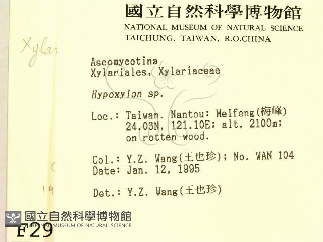 登錄號:F0002919藏品圖，第2張