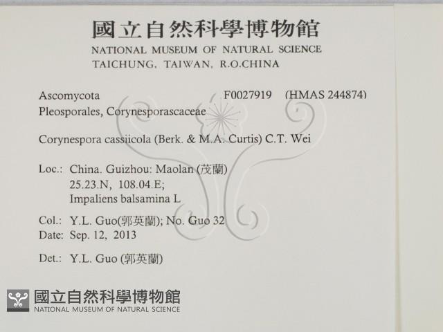 登錄號:F0027919藏品圖，第2張