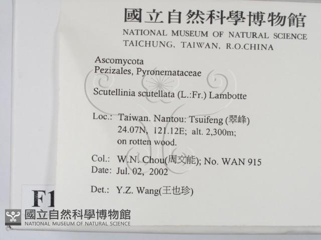 登錄號:F0013919藏品圖，第2張